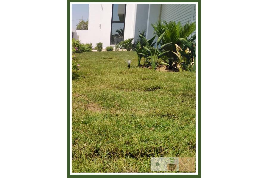 Villa A Lac II TUNIS